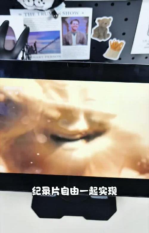 你的iPad，这些软件不用等于白买！