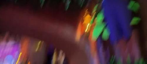 第一视角疯狂动物城热力追踪完整版