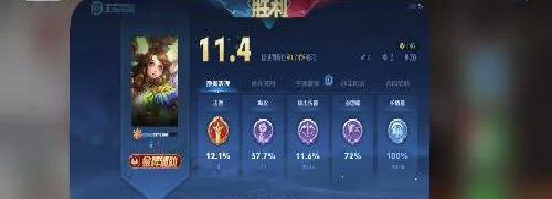 王者dd