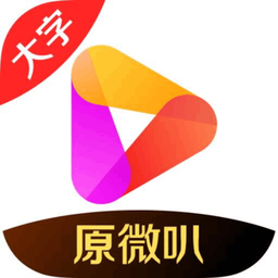 好看视频大字版pc端官网入口
