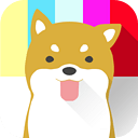 享看台2019版下载