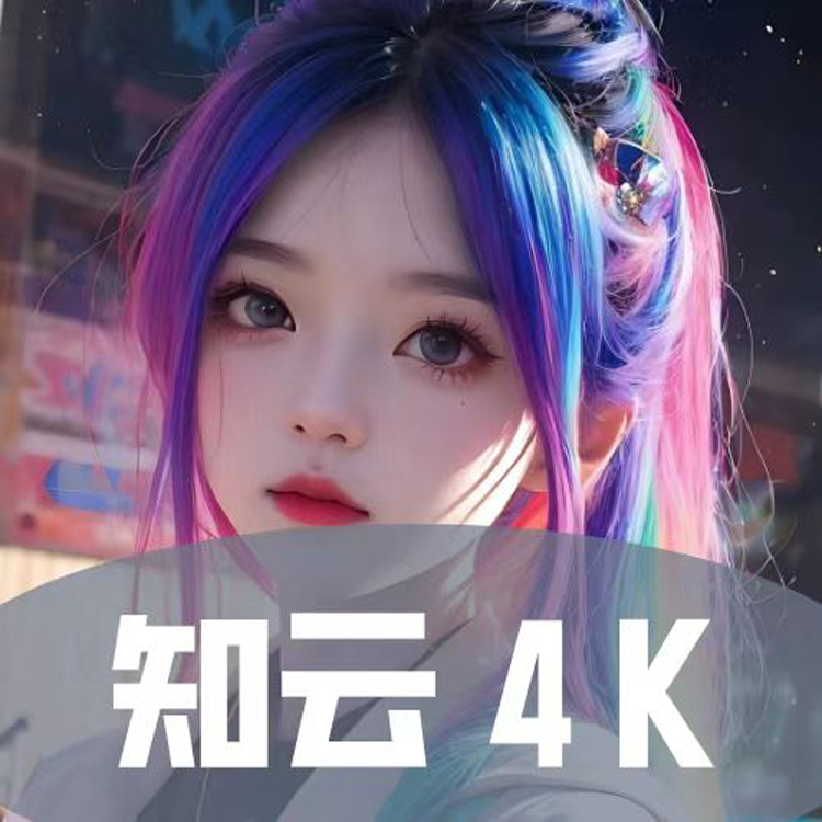 知云4K正式版