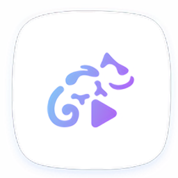 蜥蜴音乐播放器高级版旧版本大全