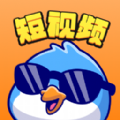 俏小皮2019旧版本下载安装