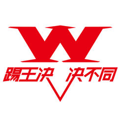 踢王决比赛视频官方旧版本大全