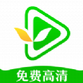 绿叶影视去广告精简版