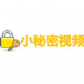 小秘密视频网页版官网入口