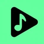 Musicolet官网最新版下载安装