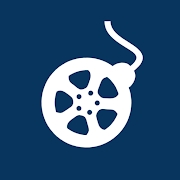 Vidlesy官方网站登录入口