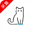 猫影视普通下载安装