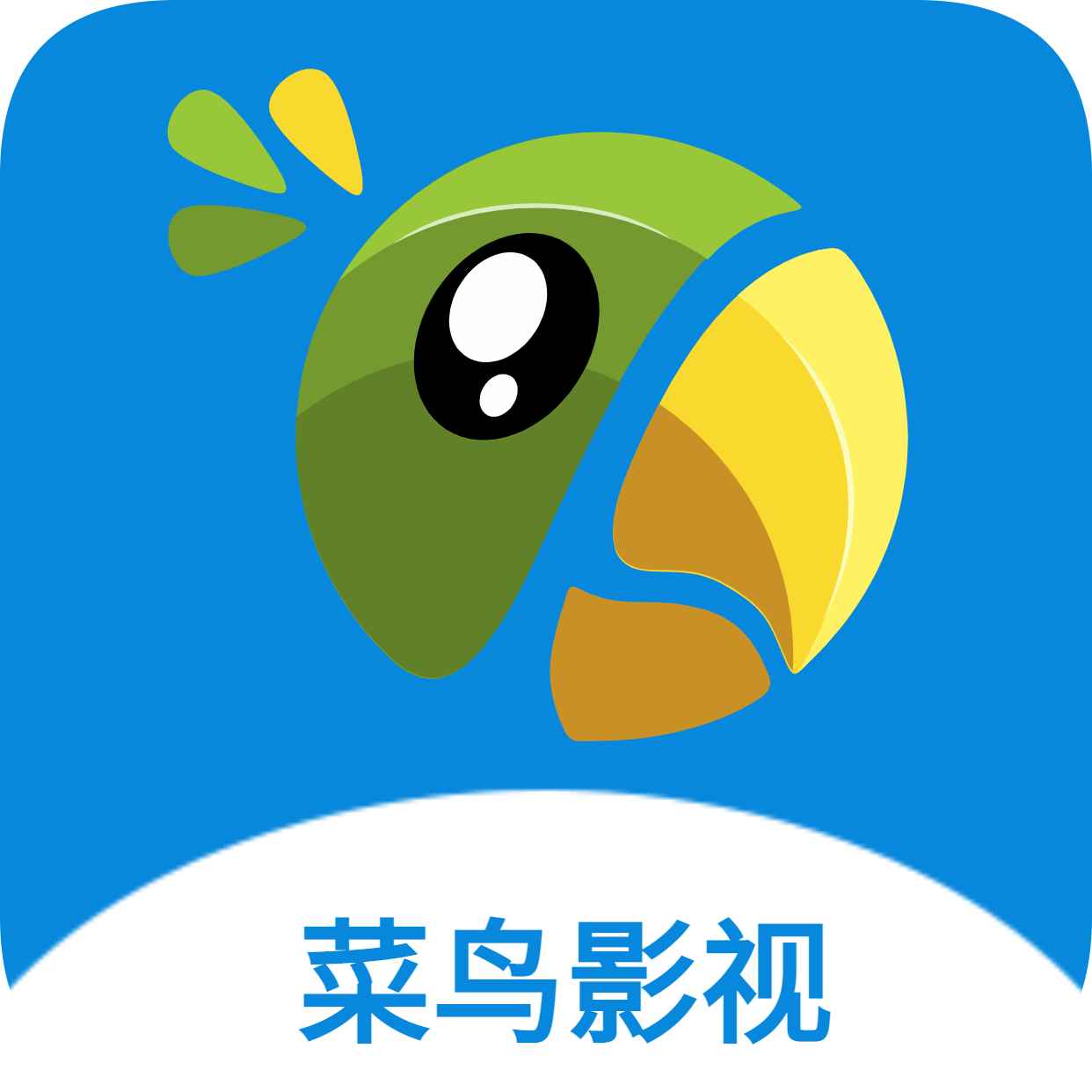 菜鸟影视app下载安装最新版本